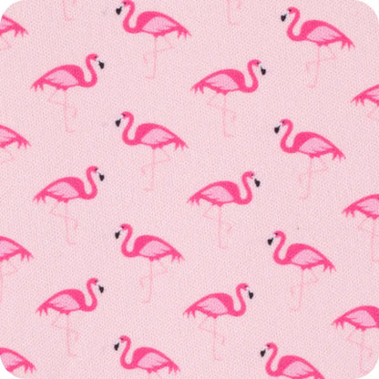 Flamingos Can Coolie