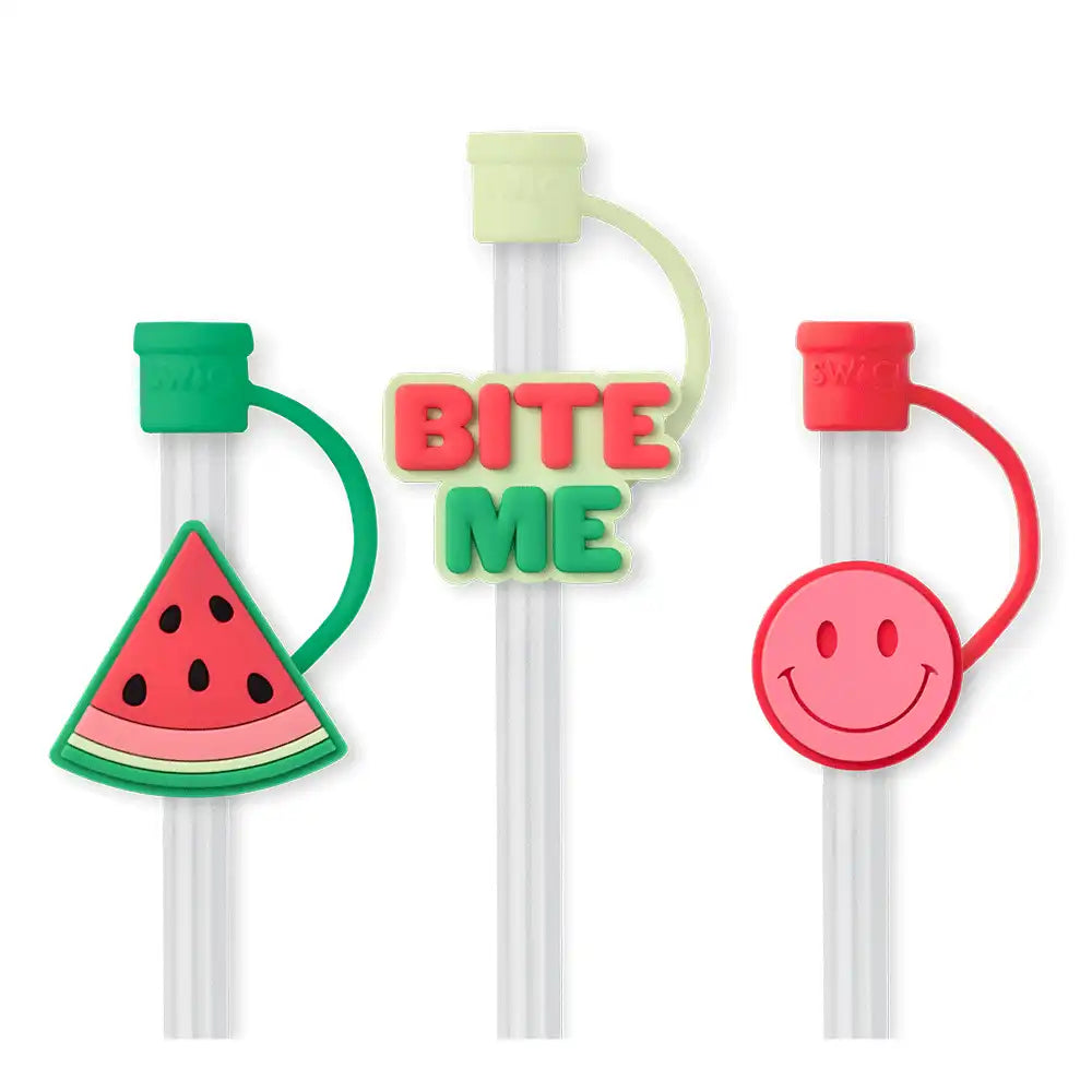 Melon Slice Straw Topper Set